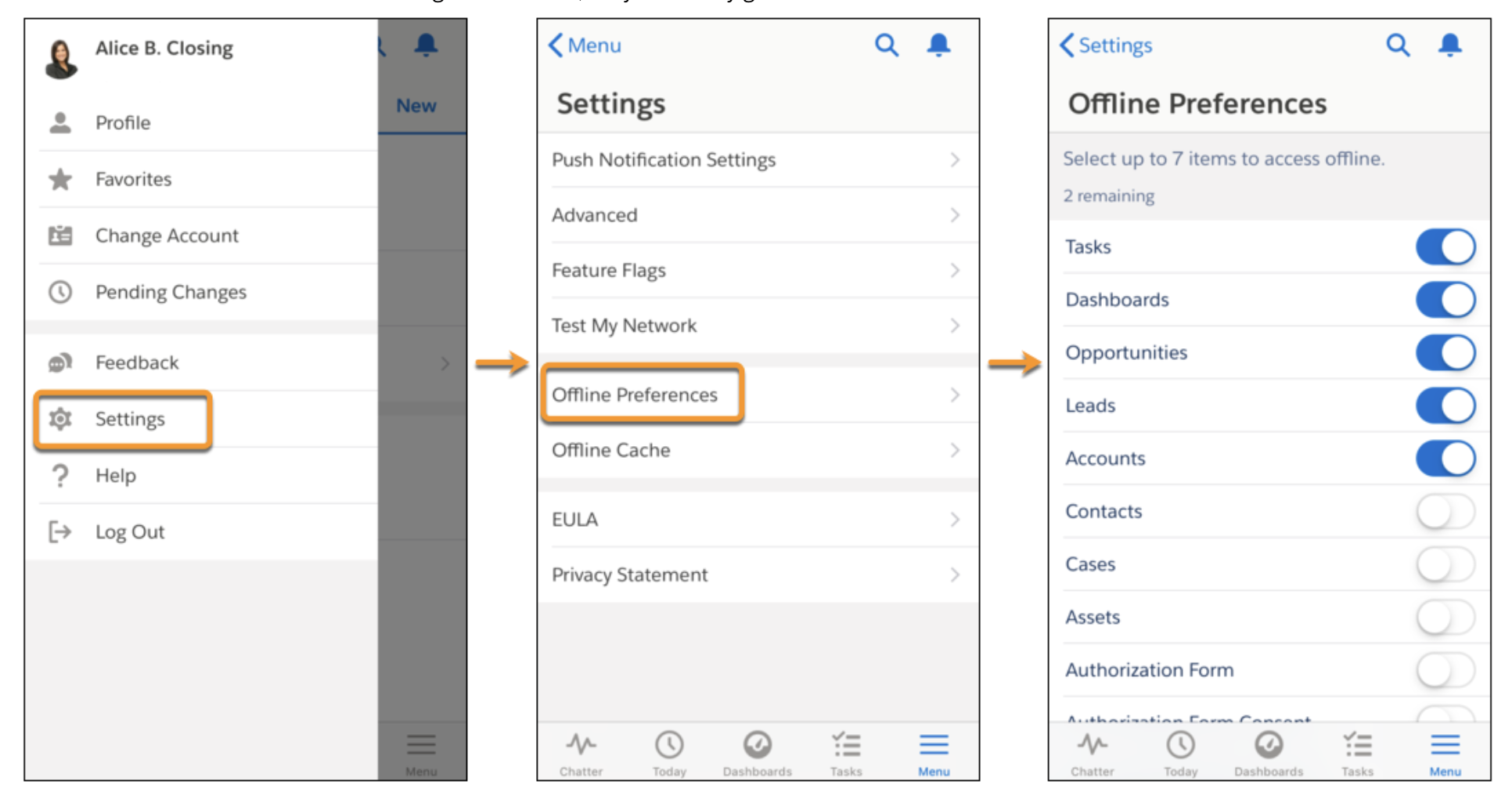 Salesforce Mobile App settings screen showing offline configuration and data sync options